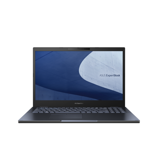 ASUS ExpertBook B2 B2502CVA-KJ0173 90NX06F1-M00620 (2023)